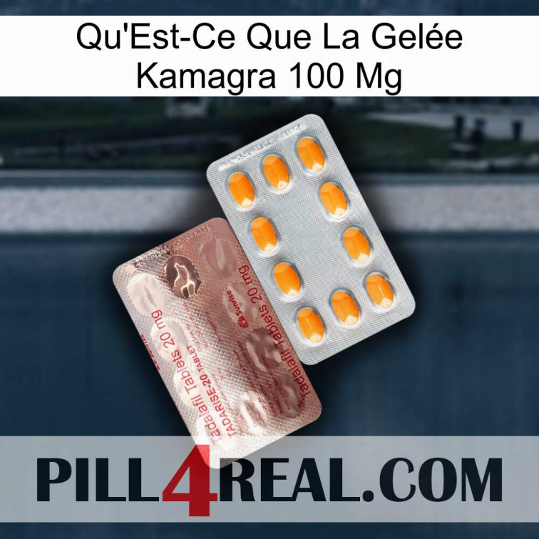 What Is Kamagra Jelly 100Mg new13